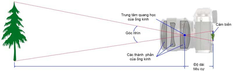 Trường nhìn rộng và độ sâu trường ảnh lớn đặc trưng của các ống kính góc rộng