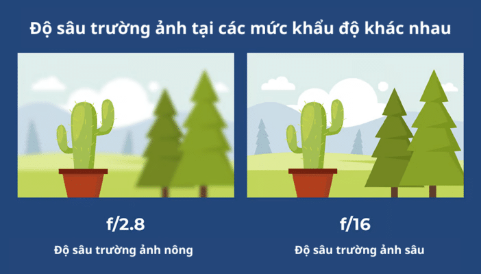 Khẩu Độ Là Gì? Hiểu Đúng Để Làm Chủ Ánh Sáng Và Độ Sâu Trường Ảnh