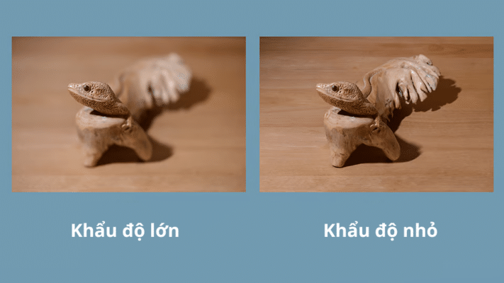 Khẩu Độ Là Gì? Hiểu Đúng Để Làm Chủ Ánh Sáng Và Độ Sâu Trường Ảnh