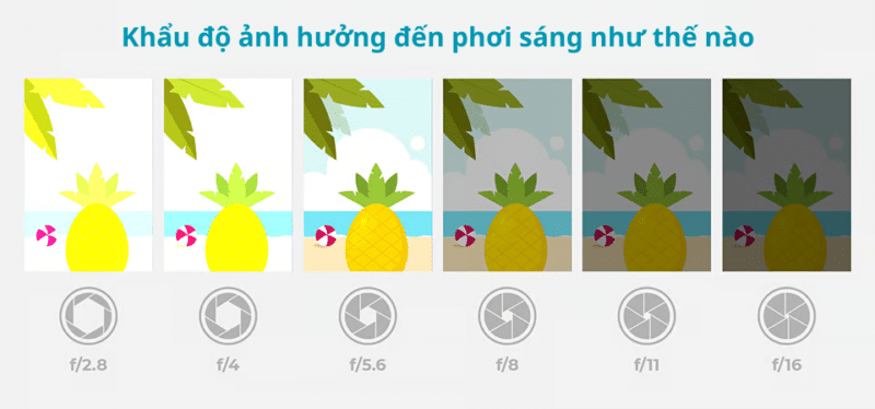 Khẩu Độ Là Gì? Hiểu Đúng Để Làm Chủ Ánh Sáng Và Độ Sâu Trường Ảnh