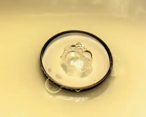 Lens Bị Mốc, Rễ Tre: Biểu Hiện, Nguyên Nhân Và Cách Khắc Phục Hiệu Quả