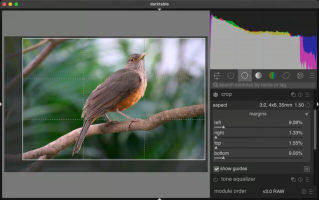 Quy Tắc Một Phần Ba Là Gì? Hướng Dẫn Bố Cục 1 3 Cho Người Mới Bắt Đầu