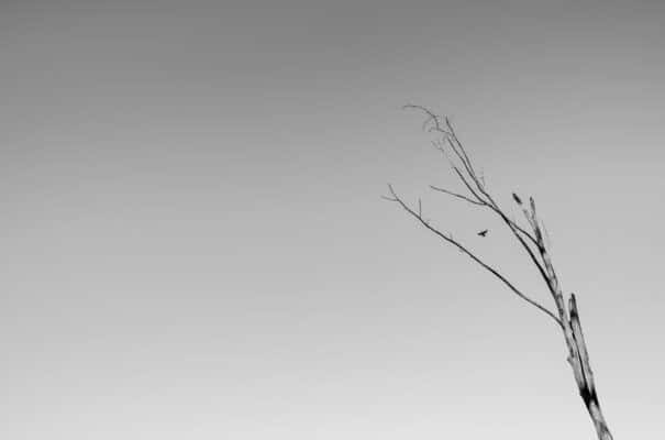 Quy Tắc Một Phần Ba Là Gì? Hướng Dẫn Bố Cục 1 3 Cho Người Mới Bắt Đầu