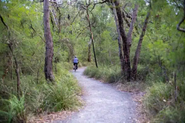 Sử dụng Zone Focusing và Pre-Focusing để lấy nét thủ công (MF)