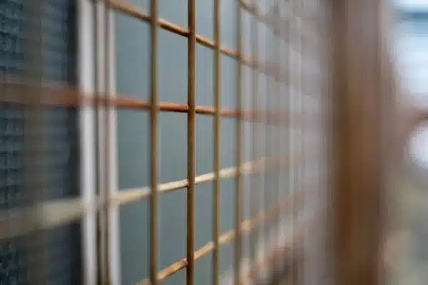 Sử dụng phương pháp lắc tới – lắc lui để lấy nét thủ công (MF)