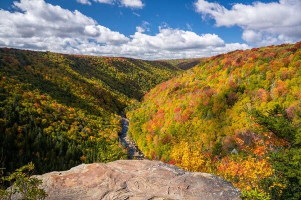 Hướng dẫn mua ống kính phù hợp cho người mới bắt đầu