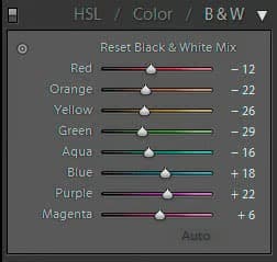 Hướng Dẫn Đầy Đủ Về Nhiếp Ảnh Đen Trắng Cho Người Mới