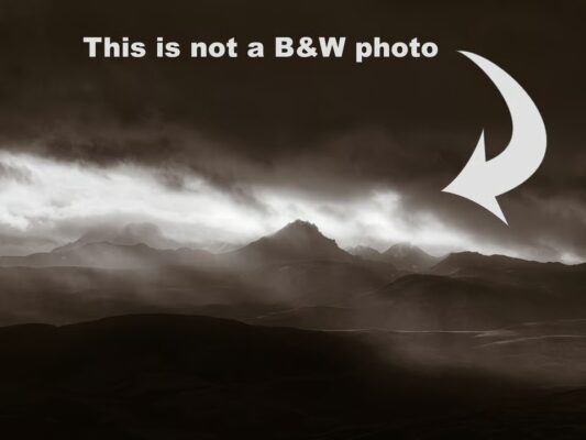 Hướng Dẫn Đầy Đủ Về Nhiếp Ảnh Đen Trắng Cho Người Mới