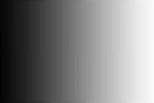 Hướng Dẫn Đầy Đủ Về Nhiếp Ảnh Đen Trắng Cho Người Mới