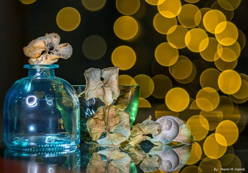 Dòng lens có thể sử dụng để chụp nhiều phong cách rất đẹp