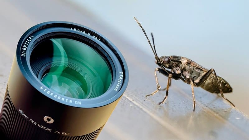 Hình ảnh được chụp bằng ống kính có độ mềm mại riêng