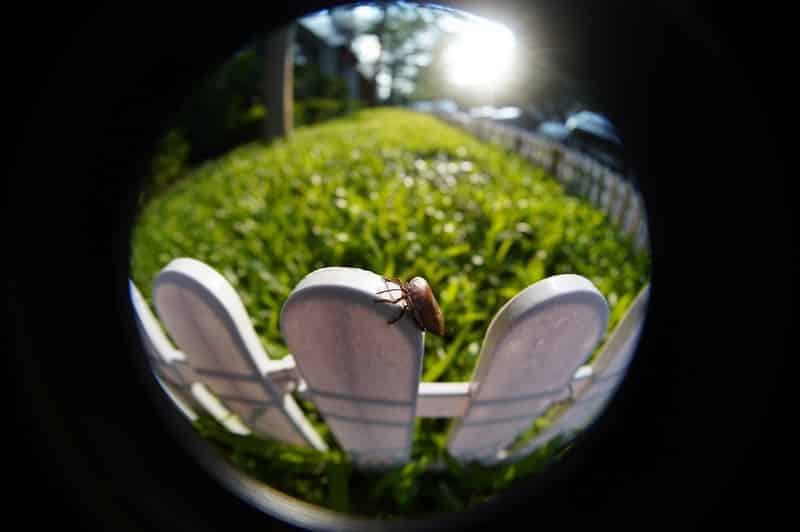 Giá thành là điều khiến nhiều người dùng lựa chọn dòng lens