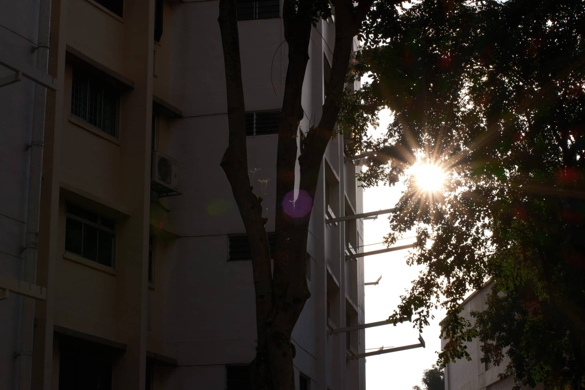 Hiệu ứng sao mặt trời (sunstar) xuất hiện ổn khi bạn khép khẩu