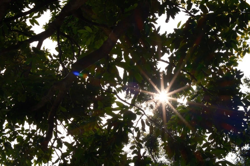 Một điểm đáng khen trong đánh giá TTArtisan Tilt 35mm f/1.4 là khả năng tạo hiệu ứng sunstar đẹp mắt