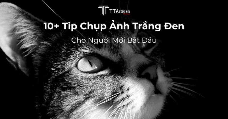 10+Tip chụp ảnh trắng đen cho người mới bắt đầu