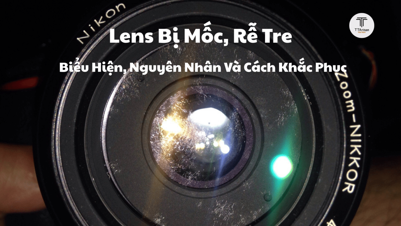 Lens Bị Mốc, Rễ Tre: Biểu Hiện, Nguyên Nhân Và Cách Khắc Phục Hiệu Quả